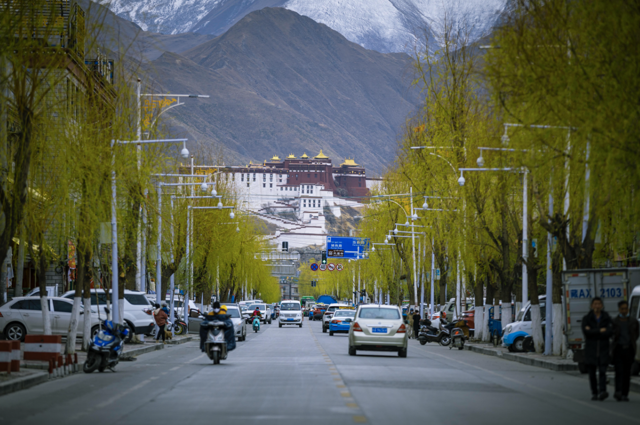 拉萨街景.jpg2.png
