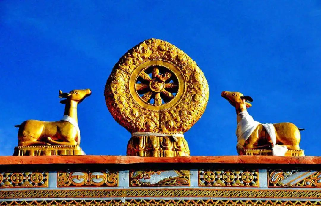 扎基寺3.png